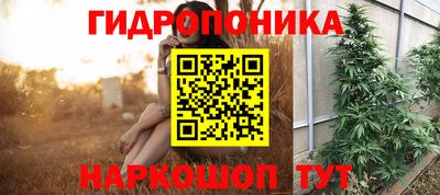 ГАЛЛЮЦИНОГЕННЫЕ ГРИБЫ Гусев