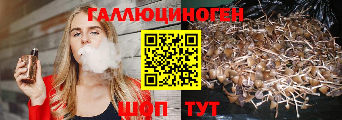 Галлюциногенные грибы Magic Shrooms Можга