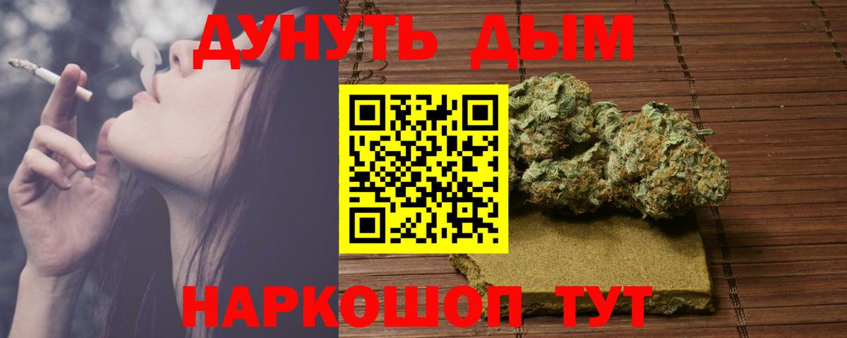 Бошки марихуана сатива Можга